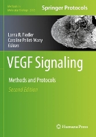 Book Cover for VEGF Signaling by Lorna R. Fiedler