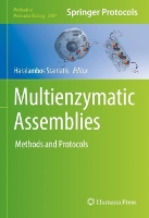 Book Cover for Multienzymatic Assemblies by Haralambos Stamatis