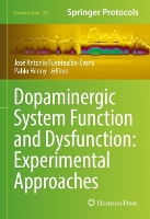 Book Cover for Dopaminergic System Function and Dysfunction: Experimental Approaches by José Antonio Fuentealba-Evans