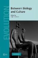 Book Cover for Between Biology and Culture by Holger (University of Bradford) Schutkowski