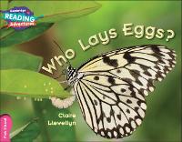 Book Cover for Cambridge Reading Adventures Who Lays Eggs? Pink B Band by Clare Llewellyn