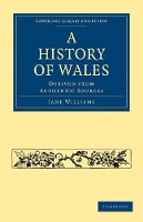 Book Cover for A History of Wales by Jane Williams