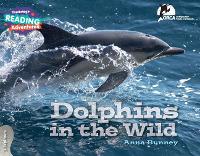 Book Cover for Cambridge Reading Adventures Dolphins in the Wild 3 Explorers by Anna Bunney