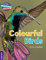 Book Cover for Cambridge Reading Adventures Colourful Birds Purple Band by Claire Llewellyn