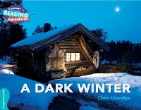 Book Cover for A Dark Winter by Claire Llewellyn