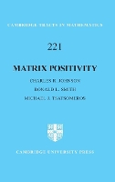 Book Cover for Matrix Positivity by Charles R. (College of William and Mary, Virginia) Johnson, Ronald L. (University of Tennessee, Chattanooga) Smith, Tsatsomeros