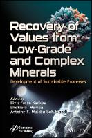 Book Cover for Recovery of Values from Low-Grade and Complex Minerals by Elvis Fosso-Kankeu