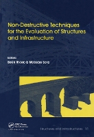 Book Cover for Non-Destructive Techniques for the Evaluation of Structures and Infrastructure by Belén University of Vigo, Spain Riveiro