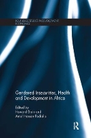 Book Cover for Gendered Insecurities, Health and Development in Africa by Howard Stein