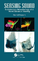 Book Cover for Sensing Sound by Bernd University of Iowa Fritzsch