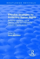 Book Cover for Effective Strategies for Protecting Human Rights by David Barnhizer