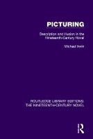 Book Cover for Picturing by Michael Irwin