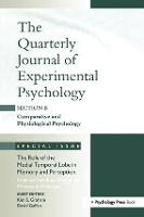 Book Cover for The Role of Medial Temporal Lobe in Memory and Perception: Evidence from Rats, Nonhuman Primates and Humans by Kim Graham