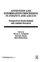 Book Cover for Attention and information Processing in infants and Adults by B. A. Campbell