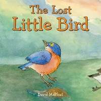 Book Cover for The Lost Little Bird by David McPhail