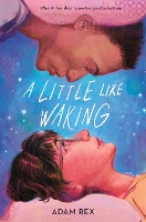 Book Cover for A Little Like Waking by Adam Rex