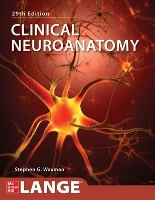 Book Cover for Clinical Neuroanatomy, Twentyninth Edition by Stephen Waxman