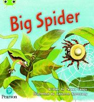 Book Cover for Bug Club Phonics - Phase 5 Unit 27: Big Spider by Teresa Heapy