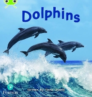 Book Cover for Dolphins by Fiona Undrill