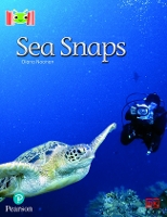 Book Cover for Bug Club Reading Corner: Age 5-7: Sea Snaps by Diana Noonan