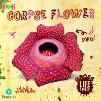 Book Cover for Bug Club Reading Corner: Age 5-7: Gross Lifecycles: Corpse Flower by William Anthony