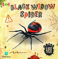 Book Cover for Bug Club Reading Corner: Age 5-7: Gross Lifecycles: Black Widow Spider by William Anthony