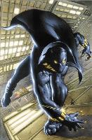 Book Cover for Black Panther By Christopher Priest Omnibus Vol. 1 by Christopher Priest