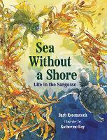 Book Cover for Sea Without a Shore by Barb Rosenstock