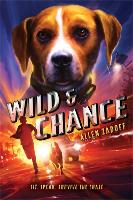 Book Cover for Wild & Chance by Allen Zadoff