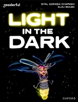 Book Cover for Light in the Dark by Sital Gorasia-Chapman