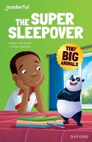 Book Cover for The Super Sleepover by Helen Mortimer