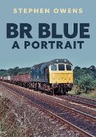 Book Cover for BR Blue: A Portrait by Stephen Owens