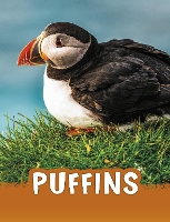 Book Cover for Puffins by Jaclyn Jaycox