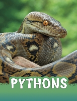 Book Cover for Pythons by Martha E. H. Rustad