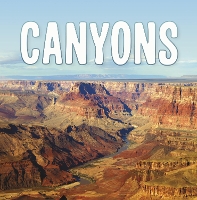 Book Cover for Canyons by Lisa J. Amstutz