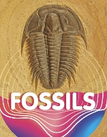 Book Cover for Fossils by Keli Sipperley
