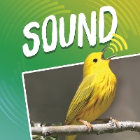 Book Cover for Sound by Michael Author Dahl