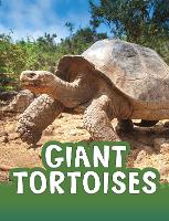 Book Cover for Giant Tortoises by Jaclyn Jaycox