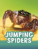 Book Cover for Jumping Spiders by Jaclyn Jaycox