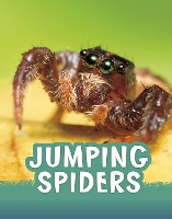 Book Cover for Jumping Spiders by Jaclyn Jaycox