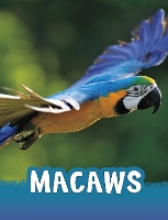 Book Cover for Macaws by Jaclyn Jaycox