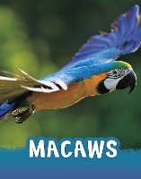 Book Cover for Macaws by Jaclyn Jaycox