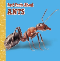 Book Cover for Fast Facts About Ants by Lisa J. Amstutz