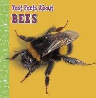 Book Cover for Fast Facts About Bees by Lisa J. Amstutz