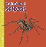 Book Cover for Fast Facts About Spiders by Julia Garstecki-Derkovitz