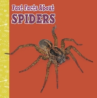 Book Cover for Fast Facts About Spiders by Julia Garstecki