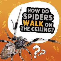 Book Cover for How Do Spiders Walk on the Ceiling? by Nancy Dickmann