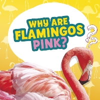 Book Cover for Why Are Flamingos Pink? by Nancy Dickmann