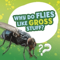 Book Cover for Why Do Flies Like Gross Stuff? by Ellen Labrecque