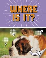 Book Cover for Where Is It? by Cari Meister